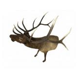 Large Elk Wall Mount with Rack