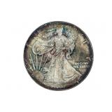 2000 Silver American Eagle Coin