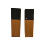 Bose 10.2 Stereo Everywhere Speakers