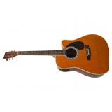 Esteban ALC-200 Acoustic Electric Guitar