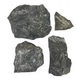 4 Fern Fossils in Matrix