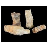 5 Fossilized Tree Branches or Coral Pieces