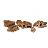 Five Pieces of Agatized Fossil Coral