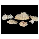 Six Quartz Crystal Cluster Specimens