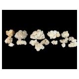 Cave Calcite Specimens