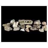 Fifteen Mineral and Quartz Specimens