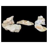 5 Pieces Angel Wing Calcite Specimens