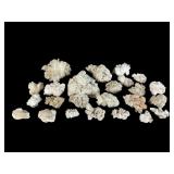 Cave Calcite Specimens