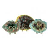 3 Majolica Begonia Leaf Plates