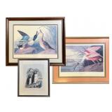 Framed Duck & Spoonbill Prints, 26.5 x 34 in