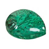 Polished Green Dyed Abalone Midas Seashell