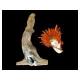 Spiny Oyster & White Hammer Oyster Shells