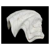22.5 Inch Clam Shell