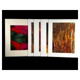 7 Color Photos Chuck Bress Luray Caverns & Floral