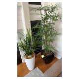 Faux Plants with Planters & Tabletop