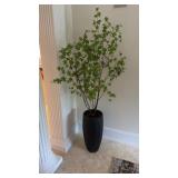 Floral Plant in Tall Black Vase