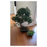 Faux Bonsai Plant & Small Faux Succulent Set