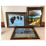 3 Framed Photos