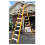 Beth Allen 10 Ft Fiberglass & Aluminum Ladder