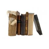 Six 19th Century Books