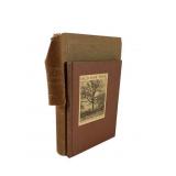Two Books: Ferns of Great Britain & Old Oak
