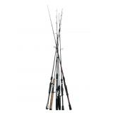 6 Fishing Rods