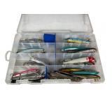 Fishing Lures in Organizer Box