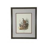 Ned Smith Chukar Partridge Lithograph Framed