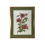 Framed Imperial Gloriosa Lithograph 23 x 29