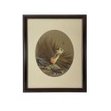 Ned Smith Chipmunk & Spider Lithograph