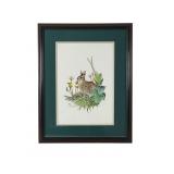 Ned Smith Signed Rabbit Lithograph 1613/2500