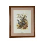 Ned Smith Lithograph Valley Quail Framed