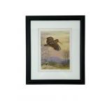 1975 Ned Smith Woodcock Lithograph for PA