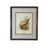 Ned Smith Framed Ringneck Pheasant Lithograph