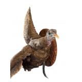 Rare Eastern Bearded Hen Wall Mount