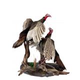 Taxidermy Wall Mounted Fighting Eastern Turkeys