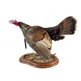 Eastern Long Beard Gobbler Floor Mount