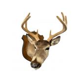 New Jersey Archery Buck in Velvet Taxidermy
