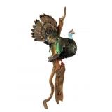 Record-Setting Ocellated Turkey Taxidermy, Yucatan
