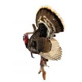 Merriam Turkey  Mount, Record Beard