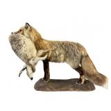 Mounted Wyoming Fox & Jack Rabbit Display
