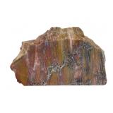 Petrified Wood Specimen