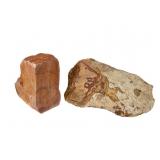 Wonderstone & Sandstone Specimens