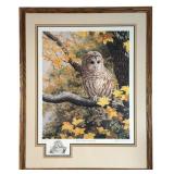 Stephen Leed Barred Owl Signed Print w/ Remarque