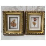 Botanical Rose Specimens & Ornate Gilt Framed Pair