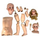 An Assortment of German Bisque Doll Heads & Compos