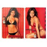 A Collection of Brooke Burke Promotional Posters