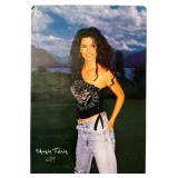 A Collection of Shania Twain Promotional Posters