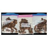 A Collection Of Lincoln Cents