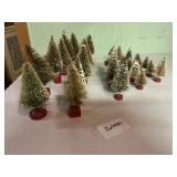 26 Bottlebrush Trees